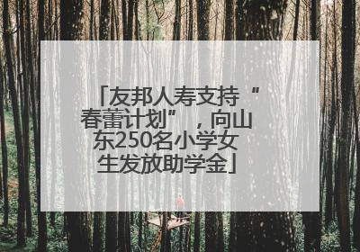 友邦人寿支持“春蕾计划”，向山东250名小学女生发放助学金